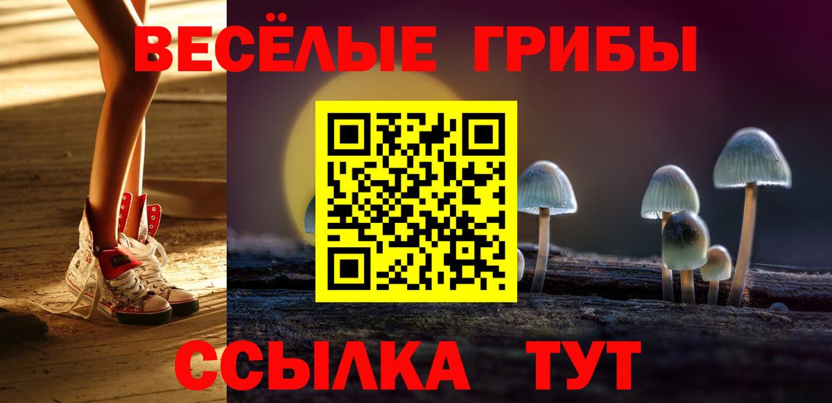Галлюциногенные грибы ЛСД Щёлково