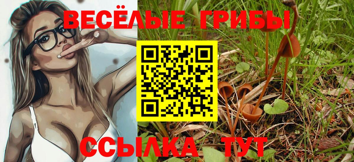 Псилоцибиновые грибы Cubensis  Псилоцибиновые грибы GOLDEN TEACHER  Щёлково  Вход с VPN 